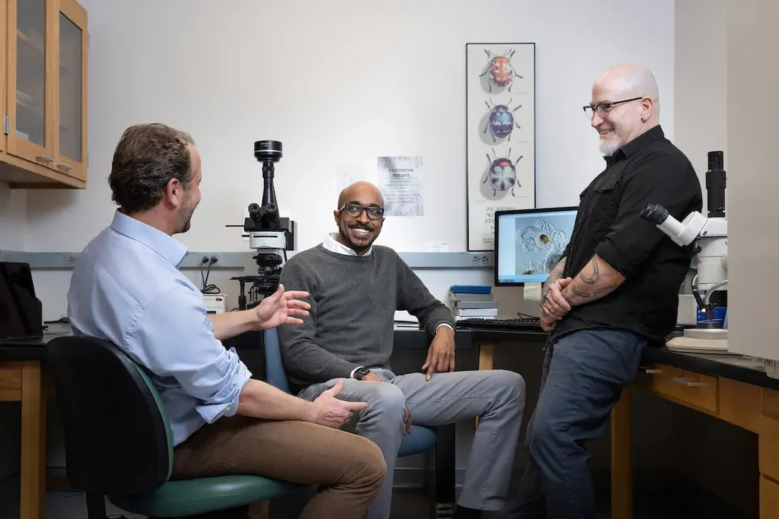 Three professors talking.